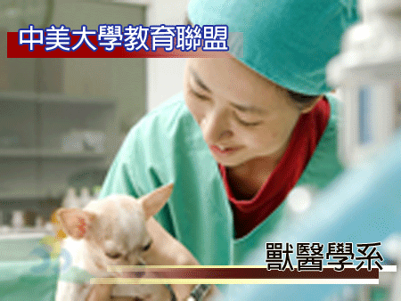 dvubb 圖片點擊可在新增視窗開啟檢視